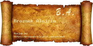 Brozsek Alojzia névjegykártya